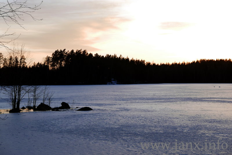 Jäämaisema ja joutsenet